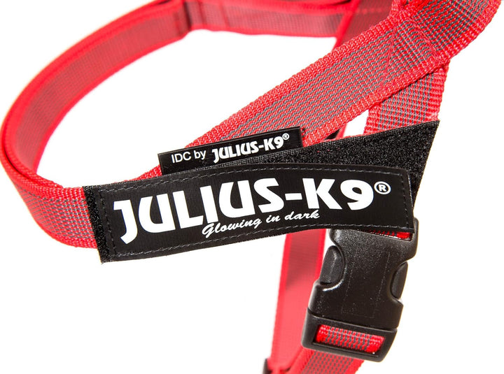 Julius-K9, Color & Gray, Beltgeschirr XS / Mini-Mini rot-grau, XS / Mini-Mini rot-grau