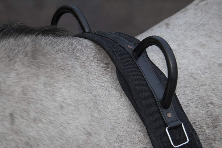 HKM Longiergurt Canvas mit Doppelgriff (Pony, schwarz) Schwarz Pony, Schwarz Pony