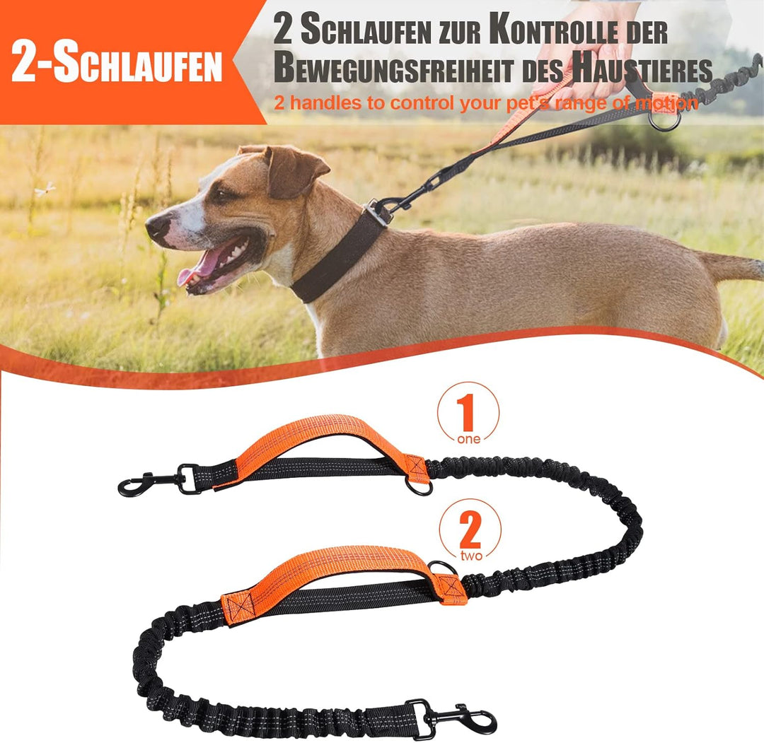 Snocyo Joggingleine Hunde, Jogging Hundeleine für Mittelgrosse und Grosse Hunde, Elastische und Refl