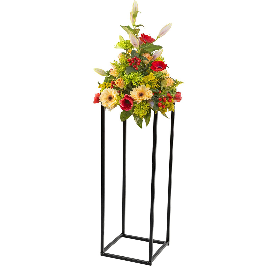 SABUIDDS Metall Blumenständer, Schwarz Pflanzenständer, Moderne Blumentopfständer, Pflanzenregal für