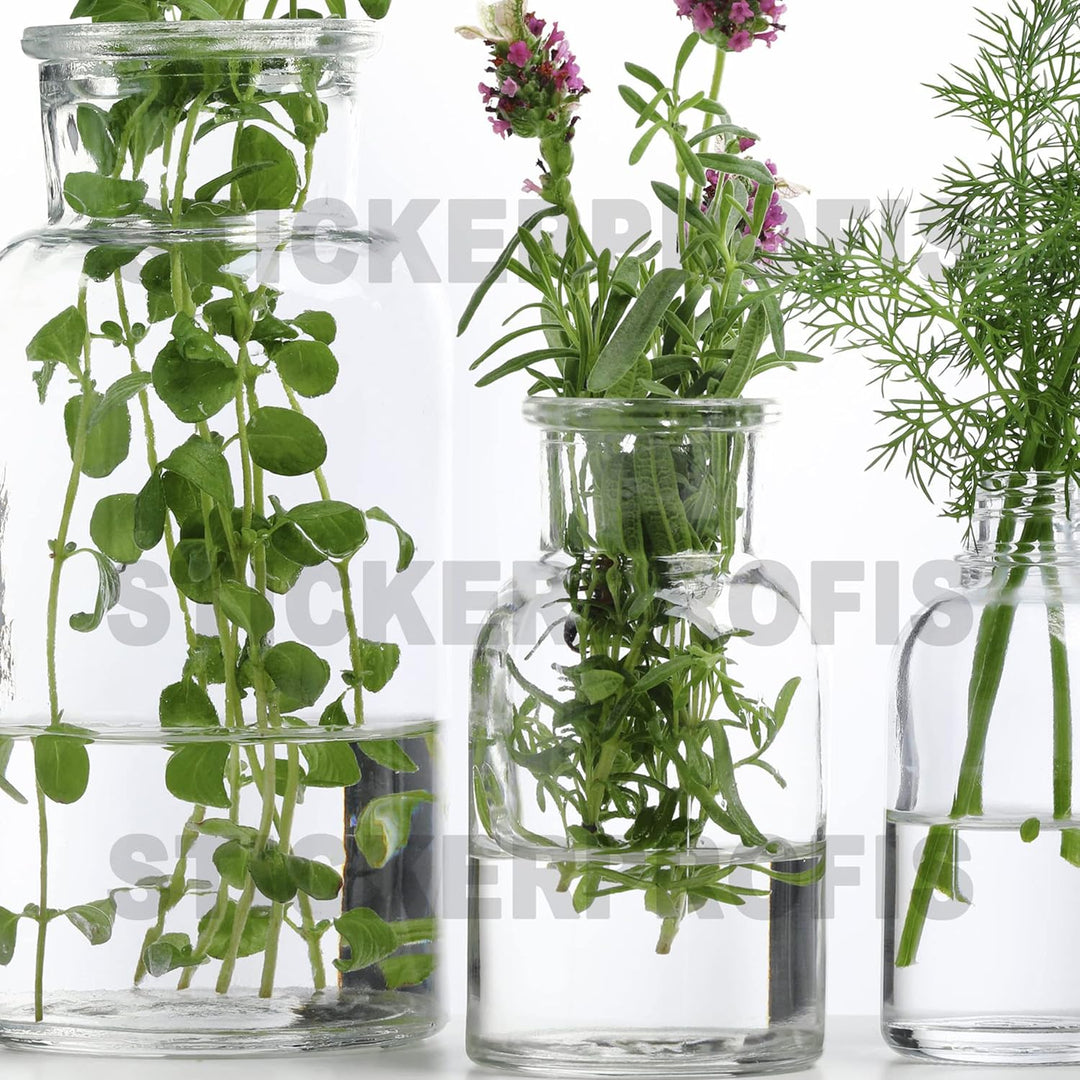 StickerProfis Küchenrückwand selbstklebend Glasoptik - KRÄUTERGLÄSER - 1.8mm, Versteift, alle Unterg