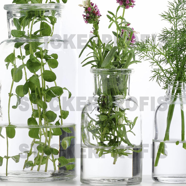 StickerProfis Küchenrückwand selbstklebend Glasoptik - KRÄUTERGLÄSER - 1.8mm, Versteift, alle Unterg