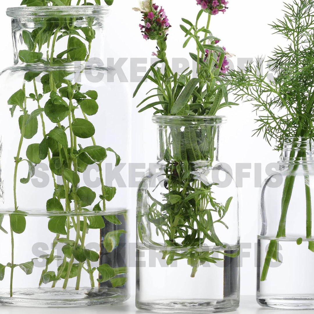 Stickerprofis Küchenrückwand hochglänzend selbstklebend - KRÄUTERGLÄSER - 1,8mm, Hartkunststoff, all