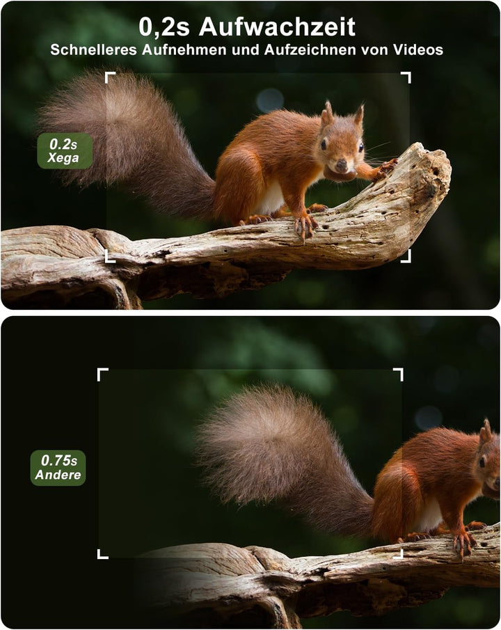 Xega 4G LTE Wildkamera mit Handyübertragung App & Bewegungsmelder, 2K Solar Überwachungskamera Ausse