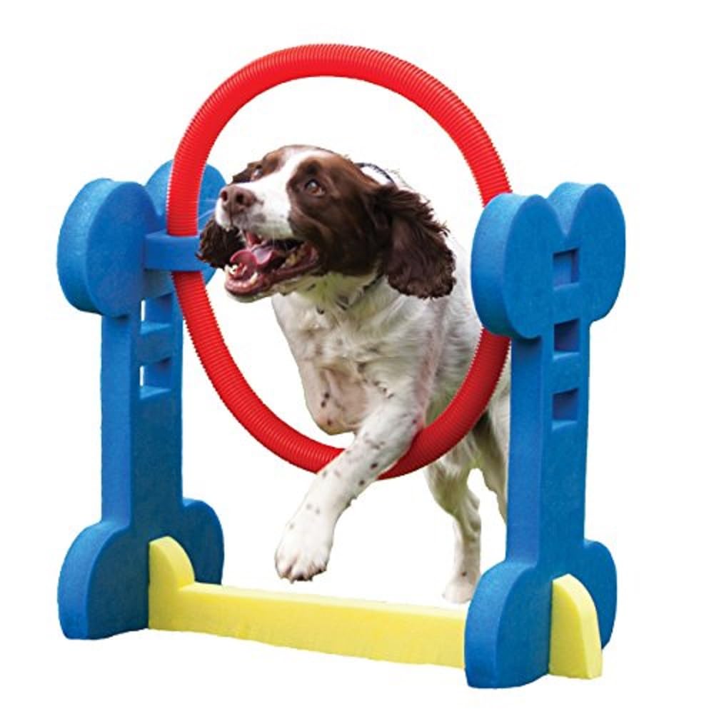 Rosewood 02497 Agility-Ring für kleine Hunde 1 Stück (1er Pack), 1 Stück (1er Pack)