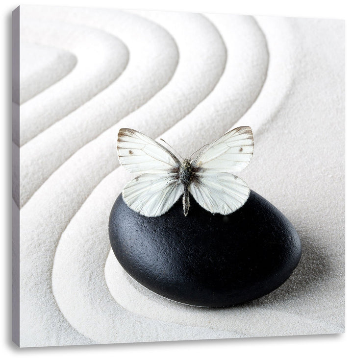 Pixxprint Schmetterling auf Zen Stein im Sand, Format: 70x70 auf Leinwand, 70x70