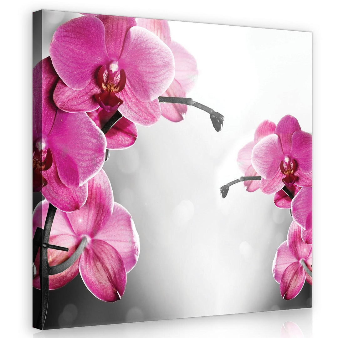Forwall Leinwandbilder Orchidee Blumen 3D Modern Schlafzimmer Wohnzimmer Bilder Wandbild Kunstdruck