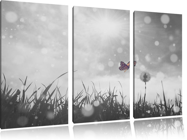 Pixxprint zarter Schmetterling fliegt zu Pusteblume B&W Detail 3-Teiler Leinwandbild 120x80 Bild auf