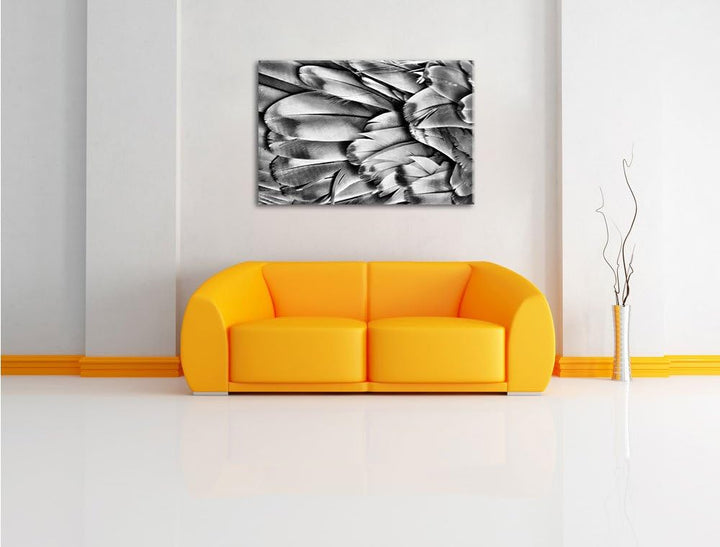 Pixxprint Monocrome, Bunte Papageienfedern, Format: 100x70 auf Leinwand, riesige Bilder fertig gerah