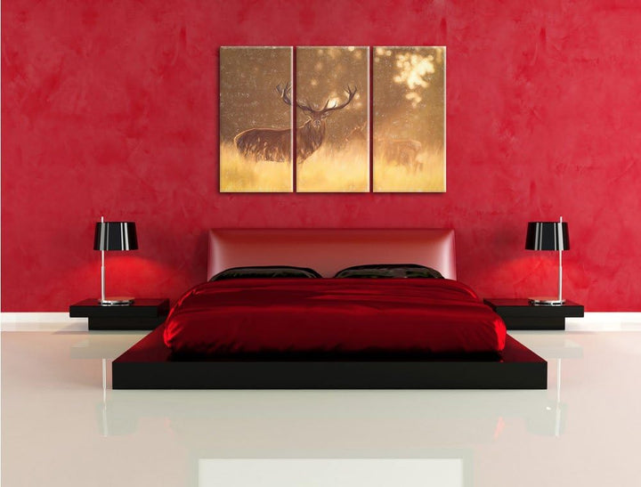 Pixxprint Rotwild im goldenen Morgenlicht als Leinwandbild/Grösse: 3 Teilig (120x80) cm/Wandbild/Kun