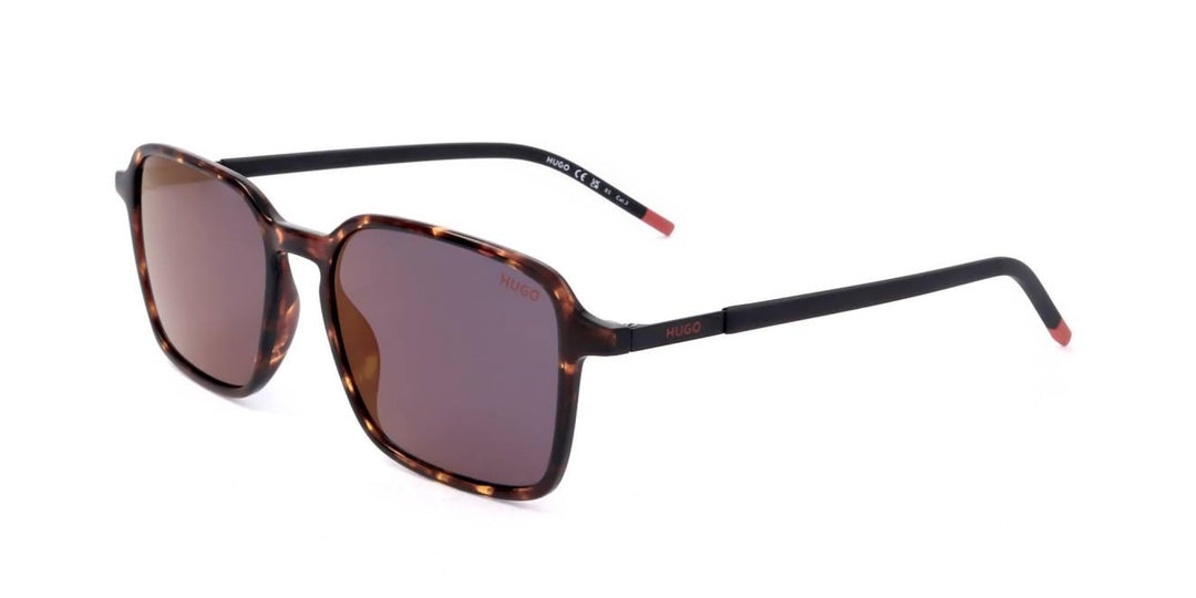 BOSS Hugo Unisex Hg 1228/s Sunglasses, 9N4/AO Havana Brown, 53