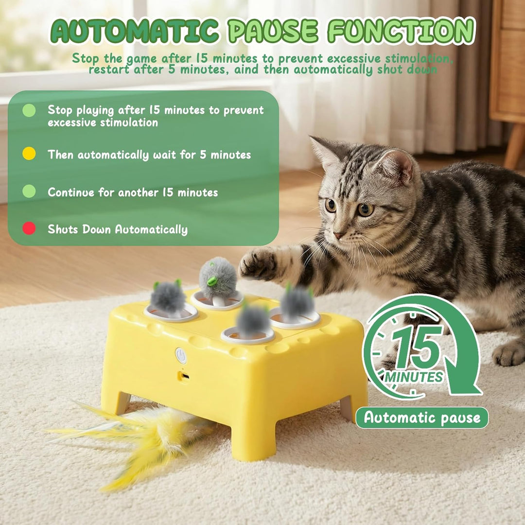 2-in-1 Automatisches Katzenspielzeug, Interaktives Katzenspielzeug, Wiederaufladbares Katzenmaus-Spi