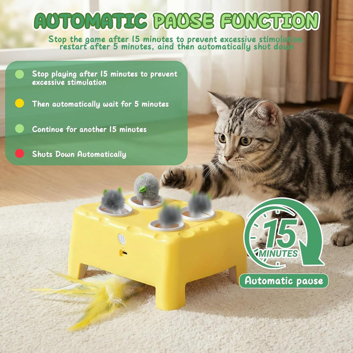 2-in-1 Automatisches Katzenspielzeug, Interaktives Katzenspielzeug, Wiederaufladbares Katzenmaus-Spi