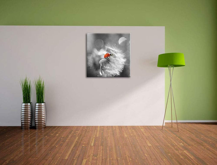 Pixxprint Kleiner Marienkäfer auf Pusteblume schwarz/weiss, Format: 70x70 auf Leinwand, 70x70