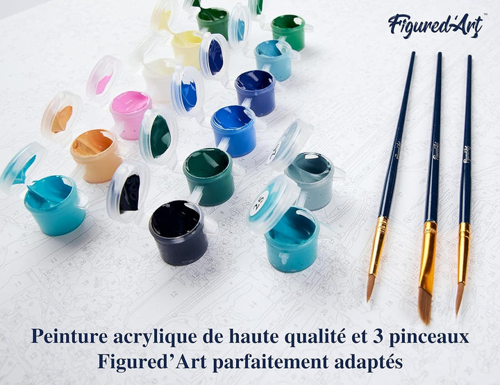 Figured'Art Malen Nach Zahlen Erwachsene Mit Rahmen Elefanten Aquarell - Paint by Numbers Basteln DI