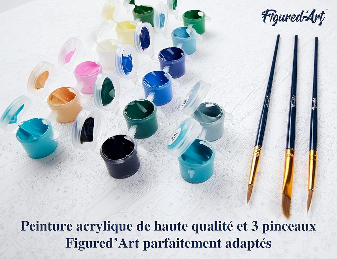 Figured'Art Malen Nach Zahlen Erwachsene Bucht der Delfine - Paint by Numbers Basteln DIY Bastelset