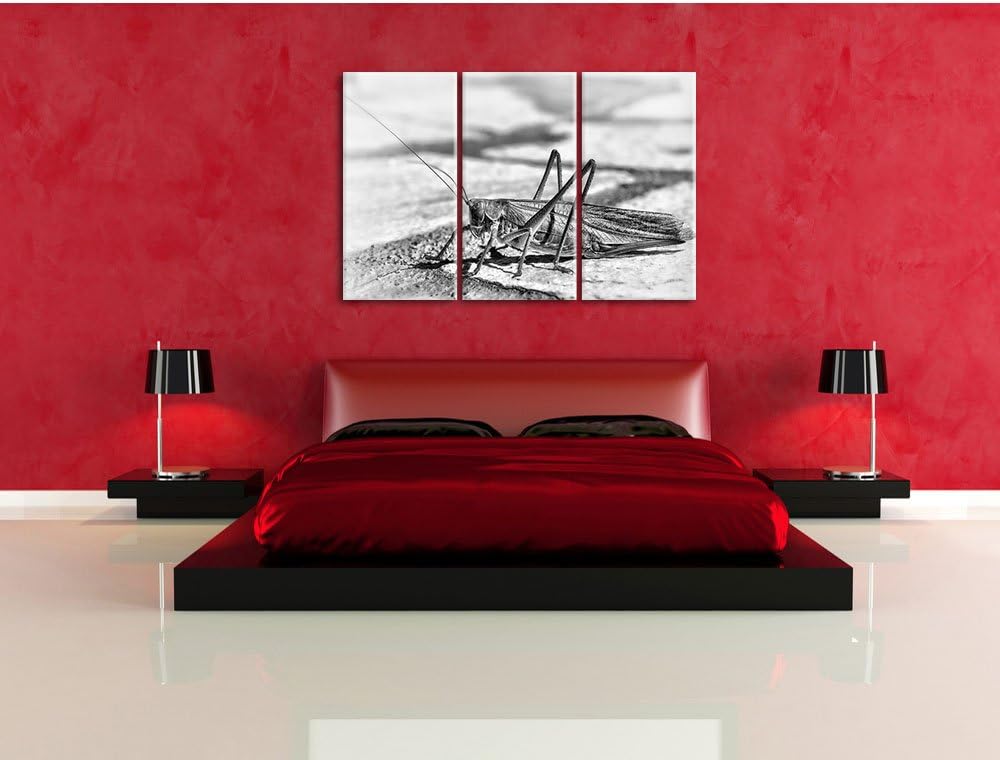 Pixxprint Elegante Heuschrecke als Leinwandbild/Grösse: 3 Teilig (120x80) cm/Wandbild/Kunstdruck/fer