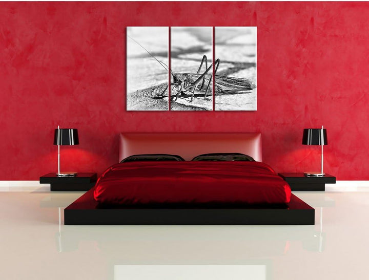 Pixxprint Elegante Heuschrecke als Leinwandbild/Grösse: 3 Teilig (120x80) cm/Wandbild/Kunstdruck/fer