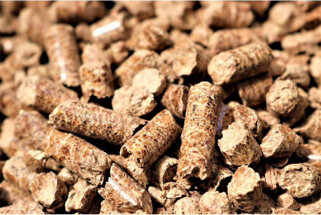 Bear Mountain BBQ 100 % natürliche Hartholz-Pellets – Pekannuss (9 kg Beutel), perfekt für Pellet-Rä
