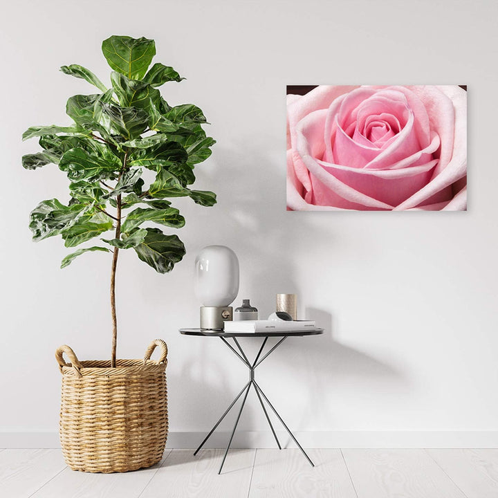 Feeby Bilder Blumen Rosa Rosen XXL 90x60 cm 1Teilig Wohnzimmer Schlafzimmer Bild auf Leinwand Wandbi