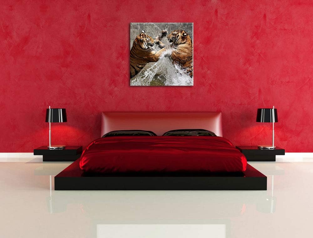 Kämpfende Tiger im Wasser, Format: 70x70 auf Leinwand, XXL riesige Bilder fertig gerahmt mit Keilrah
