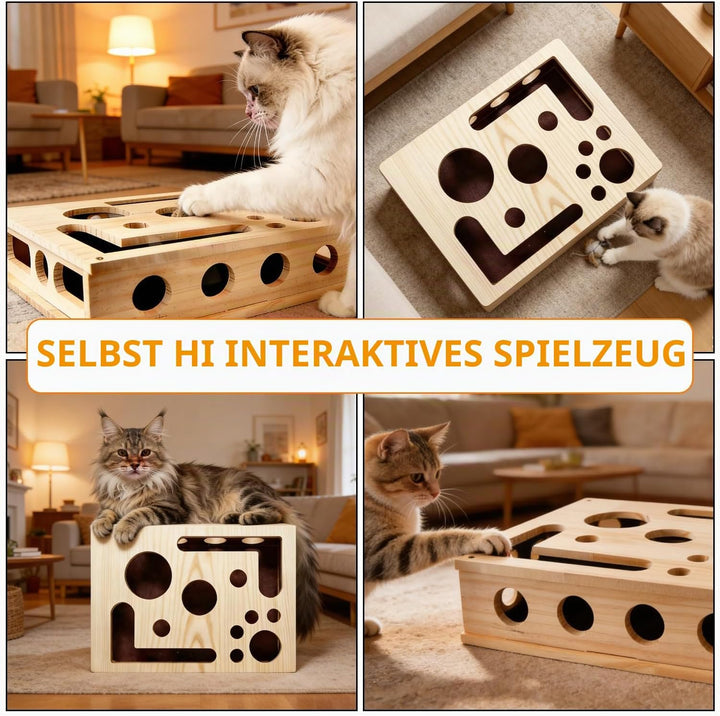 Katzenkratzpuzzle Anreicherungsbox, 30x25cm Holz Katzen Kratzbrett, Kratzpappe für Katzen, Katzenspi