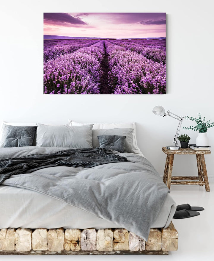 Pixxprint blühendes Lavendelfeld als Leinwandbild | Grösse: 100x70 cm | Wandbild | Kunstdruck | fert