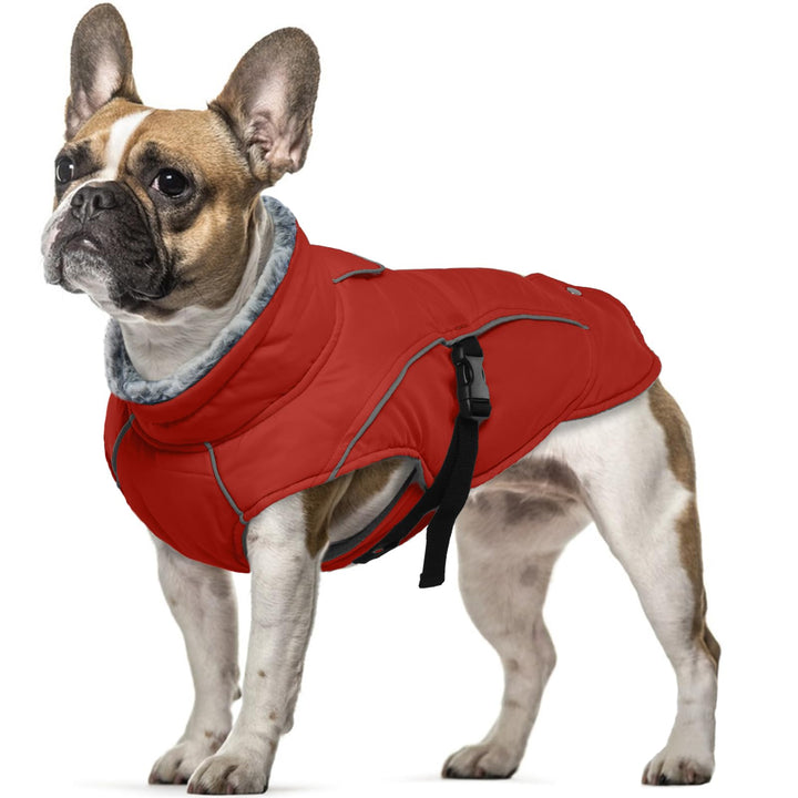 Hundemantel Wasserdicht, Wintermantel für Kleine Hunde Winter Hundejacke Hundeweste Kleine Hunde War