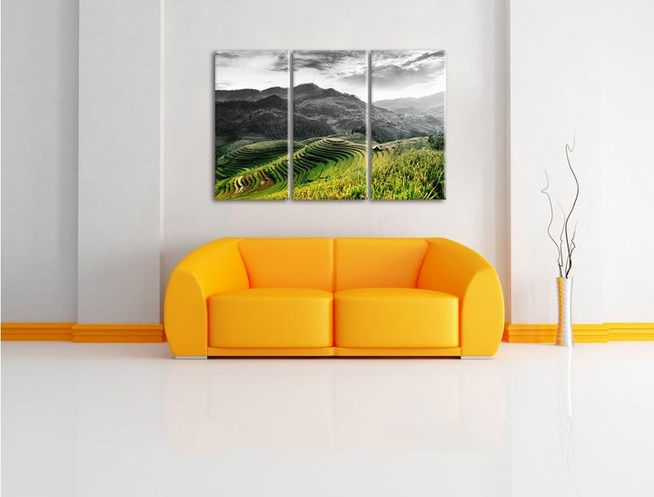 Pixxprint Reisfelder in Vietnam als Leinwandbild/Grösse: 3 Teilig (120x80) cm/Wandbild/Kunstdruck/fe