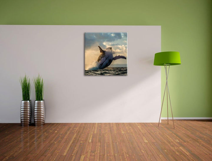 Buckelwale Kanada, Format: 70x70 auf Leinwand, XXL riesige Bilder fertig gerahmt mit Keilrahmen, Kun