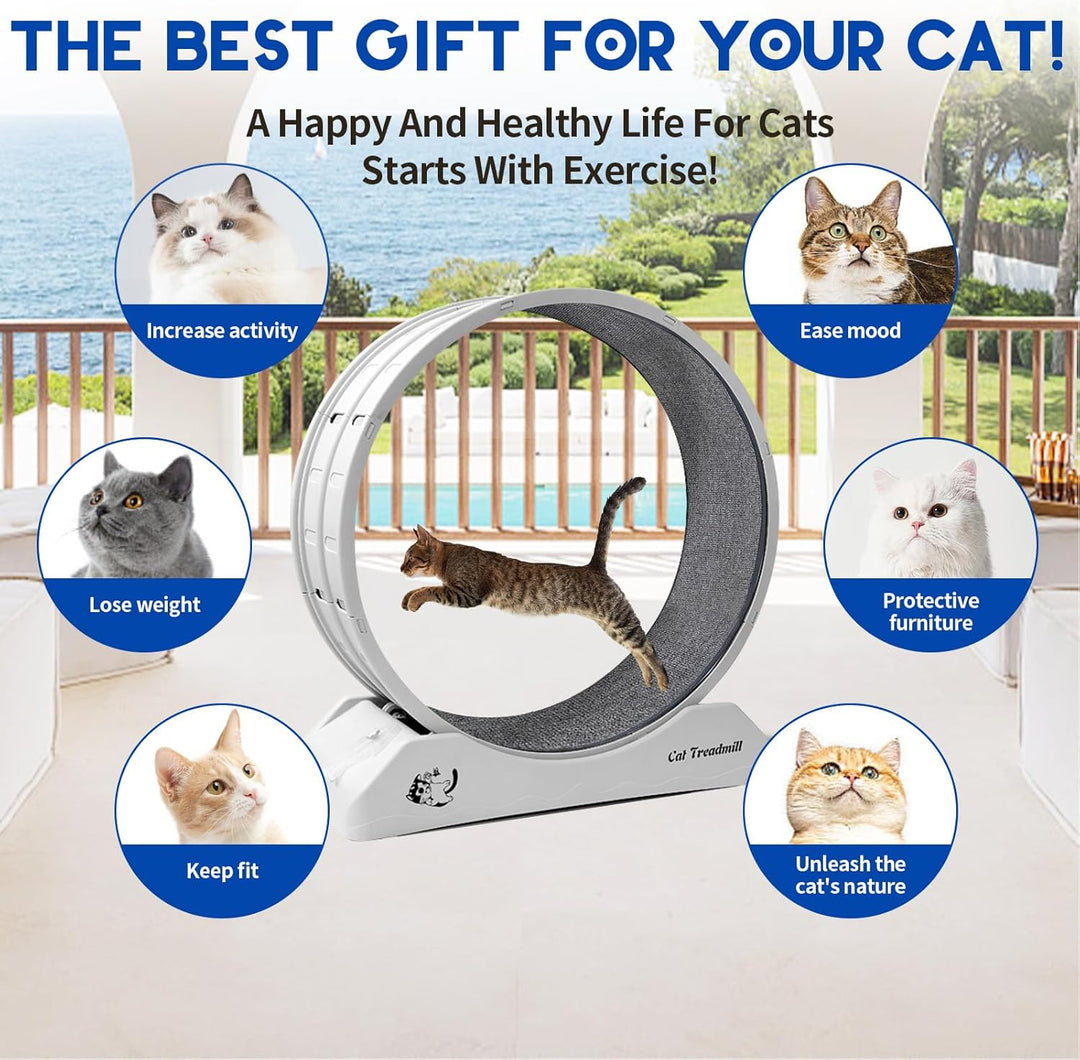homegroove 31,5 Zoll Katzenräder für Indoor-Katzen, Plastik Katze Übung Laufband Rad mit Teppich Sta