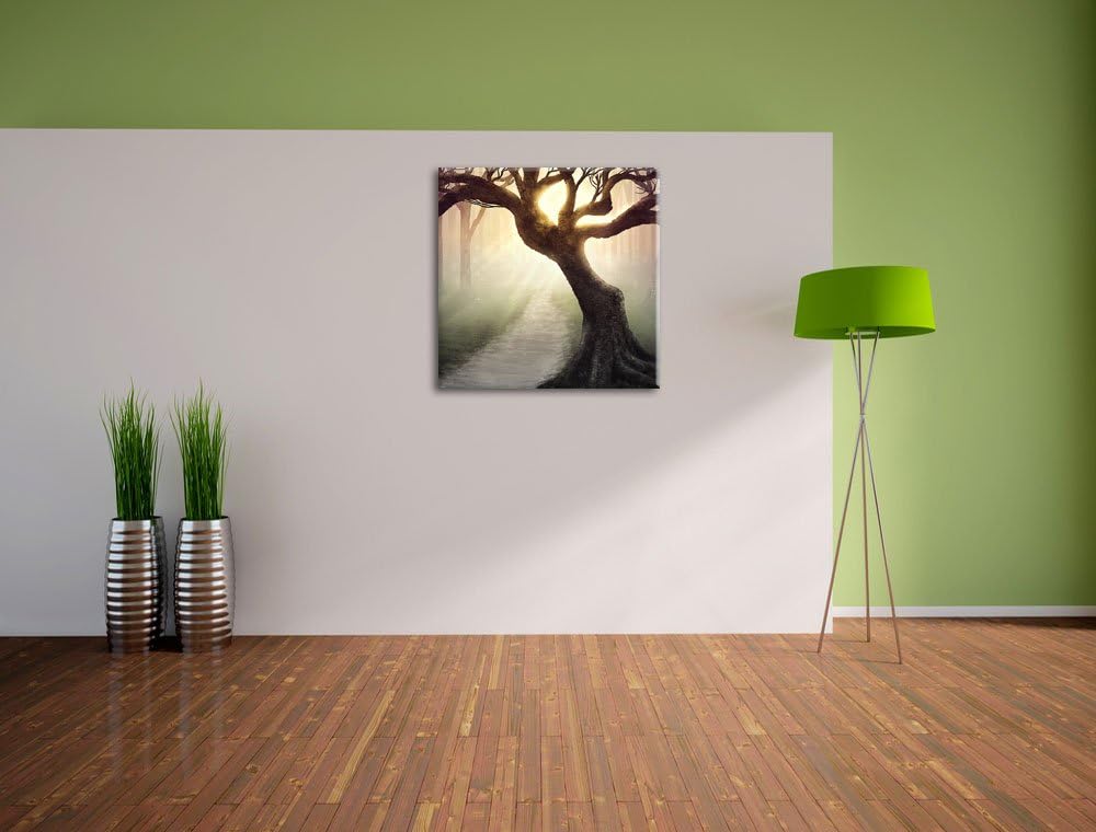 Pixxprint Riesiger Baum am Waldweg Schwarz/Weiss, Format: 70x70 auf Leinwand, 70x70