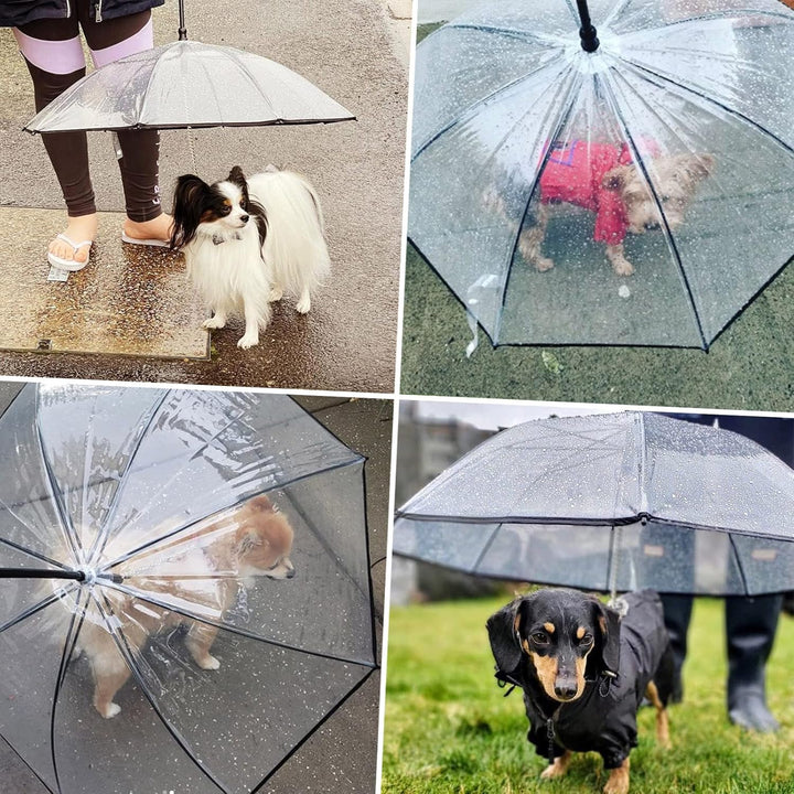 PETLESO Klarer Hunde Regenschirm mit Leine für Spaziergänge im Freien bei Schnee oder Regen
