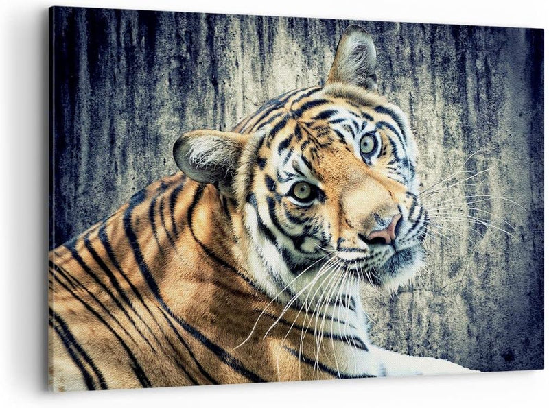 Bilder auf Leinwand 100x70cm Leinwandbild Indien stein tiger wild Gross Wanddeko Bild Schlafzimmer K