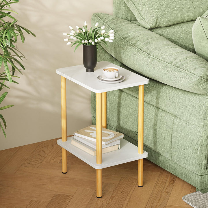 APICIZON Beistelltisch Holz, 2 Tier Nachttisch Schmal, 40x30x52cm, Beistelltisch Klein mit Stauraum,