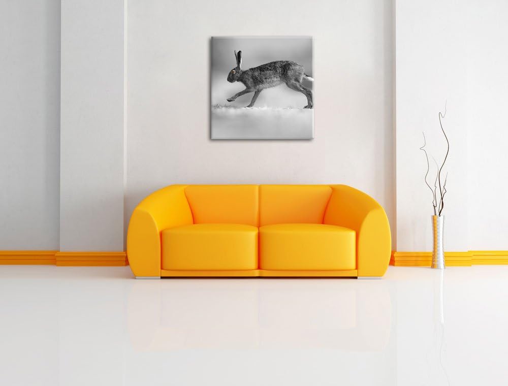 Pixxprint Springender Feldhase als Leinwandbild/Grösse: 70x70 cm/Wandbild/Kunstdruck/fertig bespannt