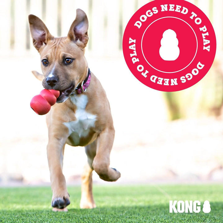 KONG Wild Knots Bear - Hundespielzeug aus Geknotetem Seil - Minimale Füllung - Für Kleine/Mittelgros