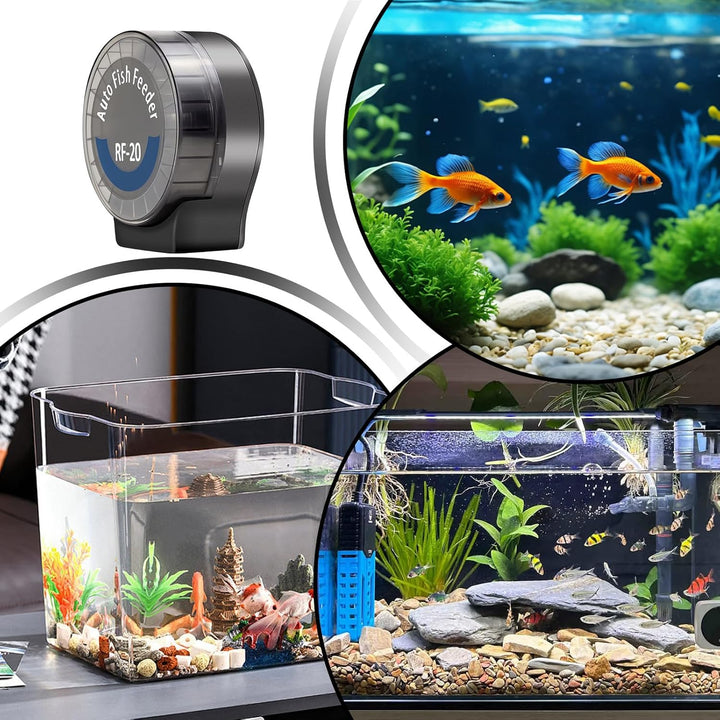 futterautomat Mit Einstellbarer 6-Stufen-Kontrolle - Automatischer Betta Futterautomat - 140ml Timer