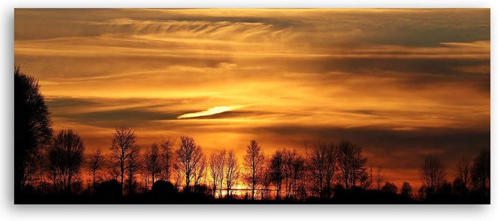 Wandbild Sonnenuntergang Modern Deko Kunst Bilder Bäume Braun 100x40 cm Deko Paneel 100x40 cm Braun_