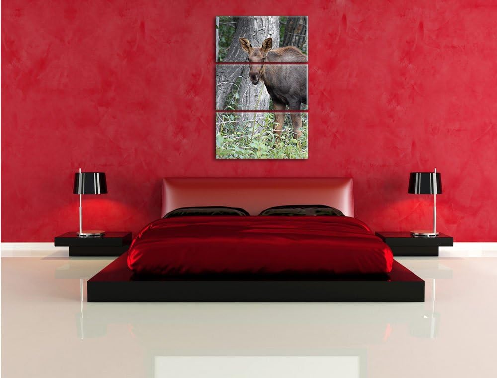 Pixxprint schöne Elchkuh im hohen Gras als Leinwandbild/Grösse: 3 Teilig (120x80) cm/Wandbild/Kunstd