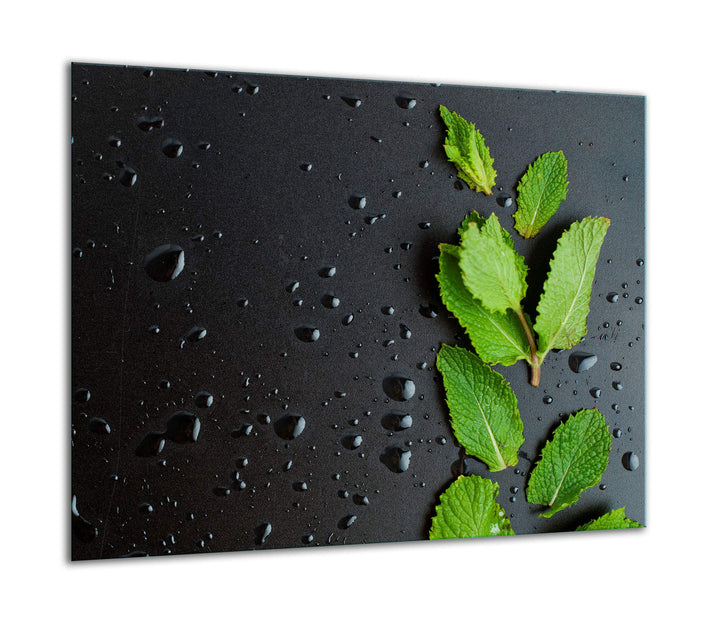 TMK ArtDeko Herdabdeckplatte 1 Teilig 60x52 cm - Spritzschutz Herdabdeckung – Herdschutz aus Sicherh