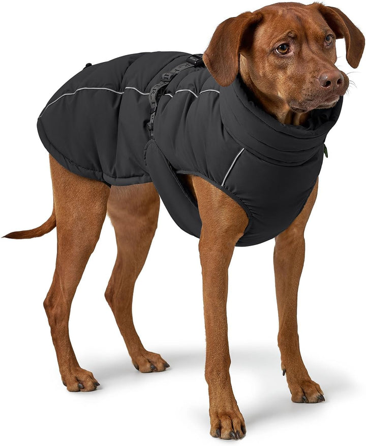 HUNTER Hundemantel Paxson, Farbe: schwarz, stylischer Puffermantel, wasserabweisend, reflektierende
