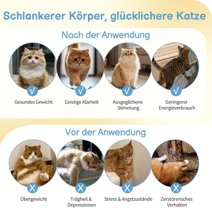 LEADZM Katzenlaufrad 80cm Durchmesser - Laufrad Katze aus Kunststoff, Inklusive Teppich und Katzensp