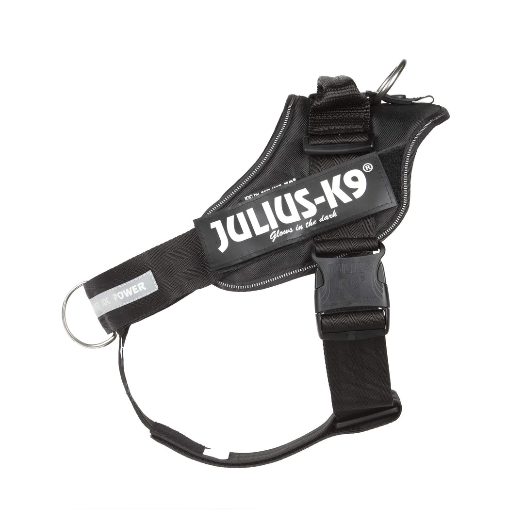 Julius-K9 16IDC-PBGHS-1 IDC Powergeschirr, Hundegeschirr mit Front Control Y-Gurt, Grösse: L/1, Schw