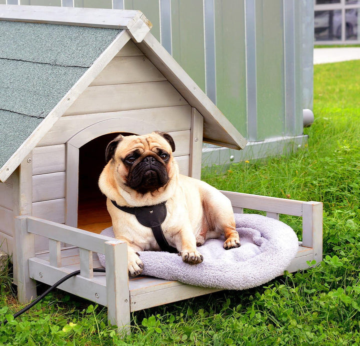 infactory Katzenbett: Beheizbares Hunde- und Katzenkissen (Beheizbares Hundebett, Hundekissen, Behei