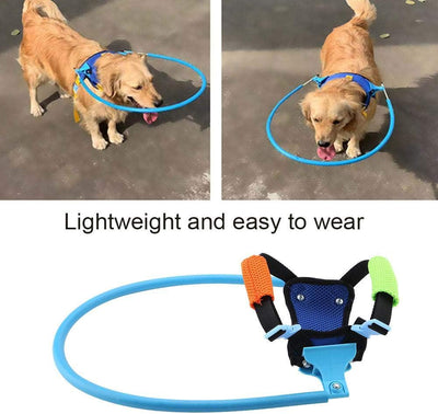 143 Blind Dog Halo Harness Guiding Device, Robuster, langlebiger Korrosionsschutzring für Blinde Hau