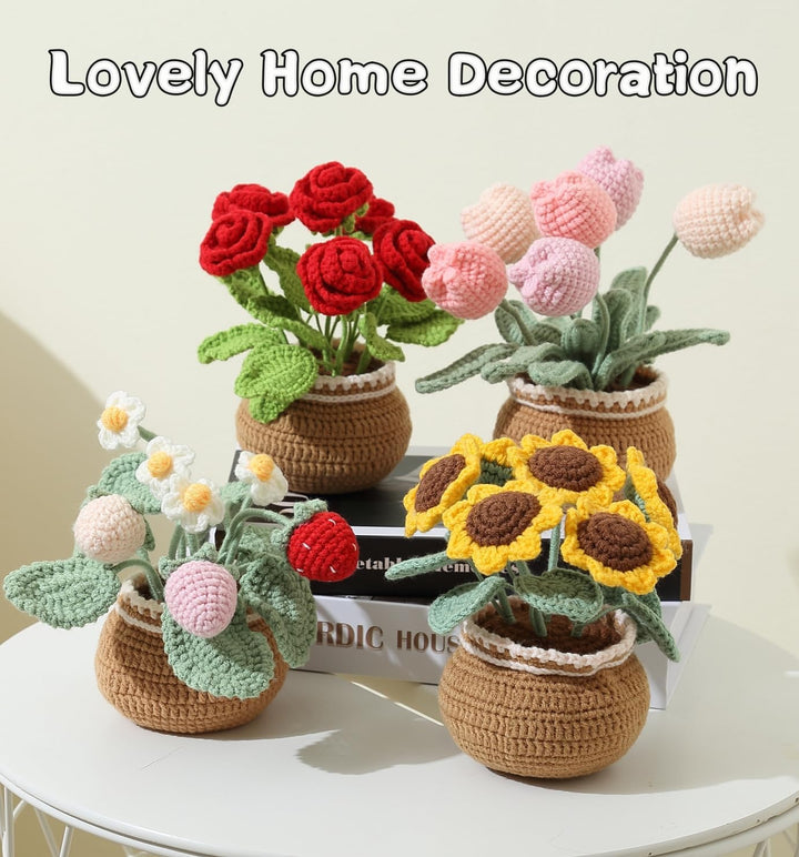 Ktmeor Häkel-Set für Anfänger, Häkel-Set für Absolute Neulinge mit Schritt-für-Schritt-Videoanleitun