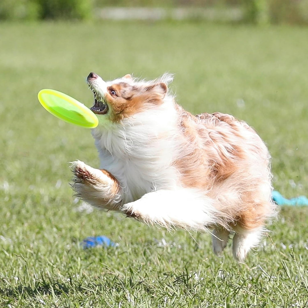 Hyperflite Hunde-Flugscheibe Jawz Pup, 7 Zoll, Leuchtet im Dunkeln Leuchtend, Leuchtend