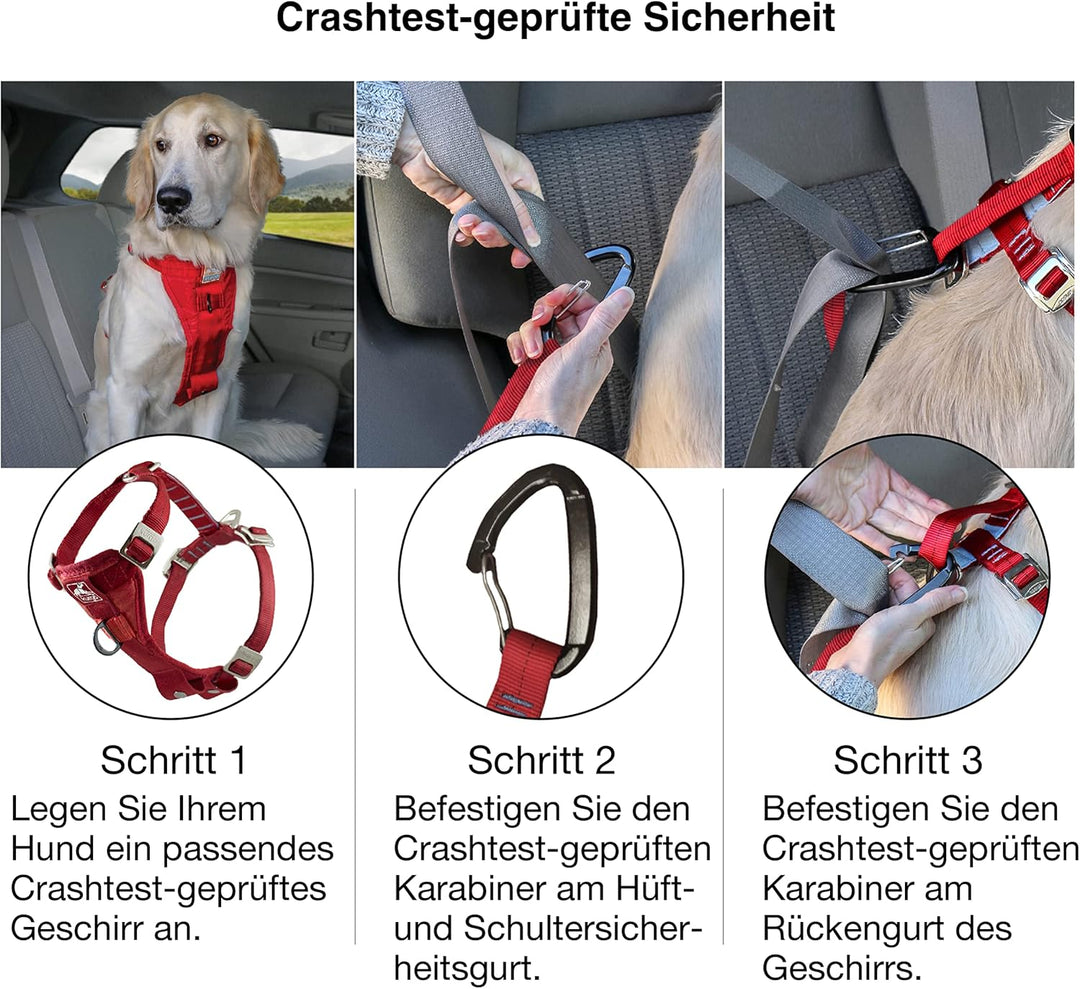 Kurgo Tru-Fit Autosicherheitsgeschirr für Hunde, Mit gepolstertem Brustteil und D-Ring, Mit Autogurt