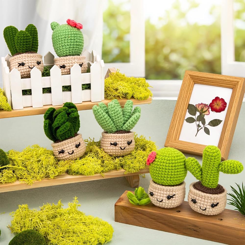 Mecmbj Häkelset für Anfänger, 6 Stück Niedliches Kaktus Häkelnadel Set, Blumentöpfe Crochet Set, HäK